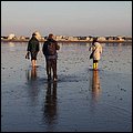 Wattwandern034.jpg