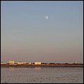 Wattwandern035.jpg
