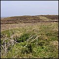 Cornwall16007.jpg