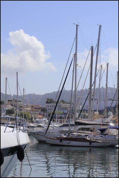 Cannes14010.jpg