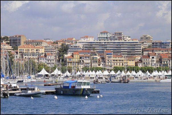 Cannes14016.jpg