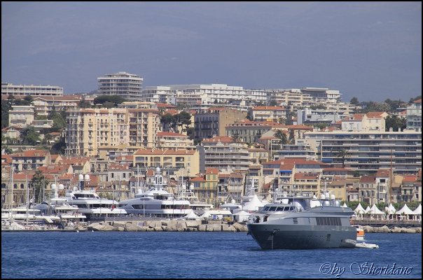 Cannes14023.jpg