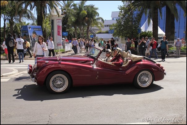 Cannes14077.jpg