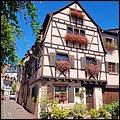 Colmar22009.jpg