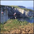 Havre15027.jpg