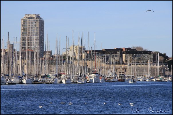 Marseille009.jpg