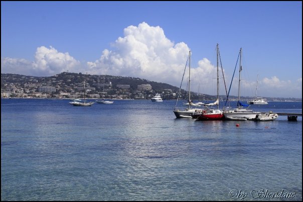 Cannes14026.jpg