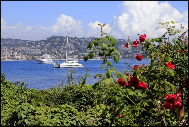 Cannes14027.jpg