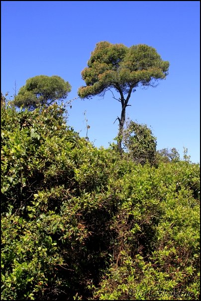 Cannes14036.jpg