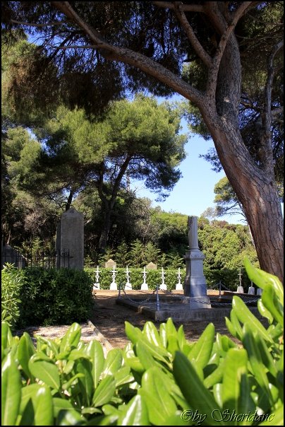 Cannes14037.jpg