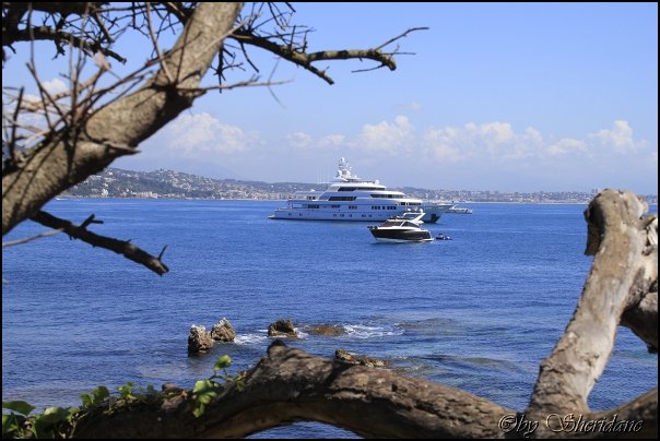 Cannes14038.jpg