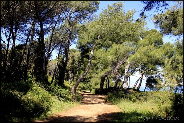 Cannes14040.jpg