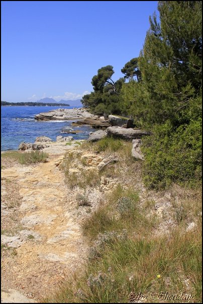 Cannes14052.jpg