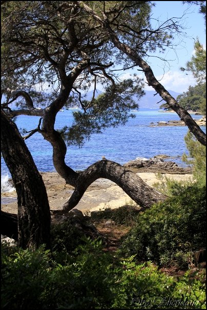 Cannes14054.jpg