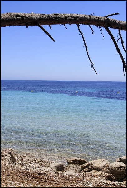 Cannes14056.jpg