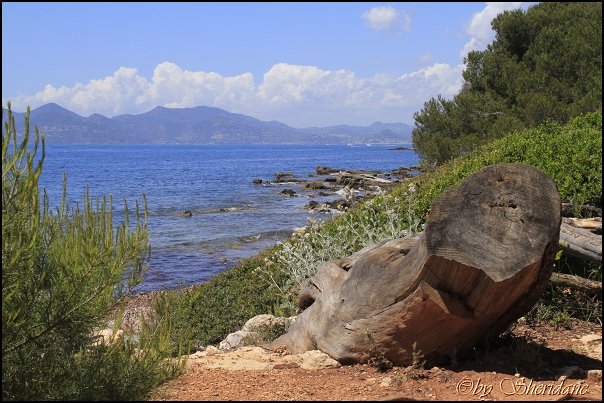 Cannes14058.jpg