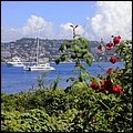 Cannes14027.jpg