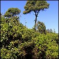 Cannes14036.jpg