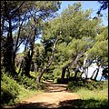 Cannes14040.jpg