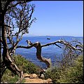 Cannes14041.jpg