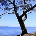 Cannes14046.jpg