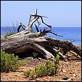 Cannes14047.jpg