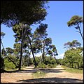 Cannes14049.jpg