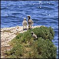 Cannes14053.jpg