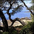Cannes14054.jpg