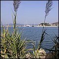 Kusadasi16023.jpg