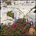 Mykonos16039.jpg