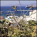 Mykonos16046.jpg