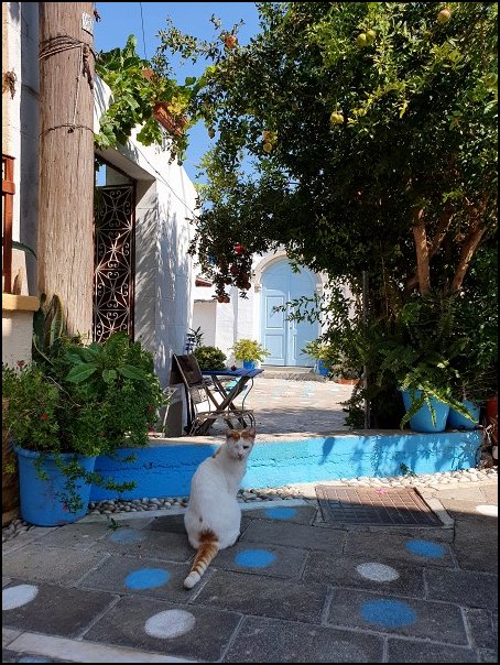 Rhodos21158.jpg