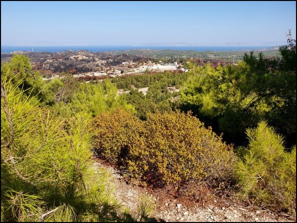 Rhodos21200.jpg