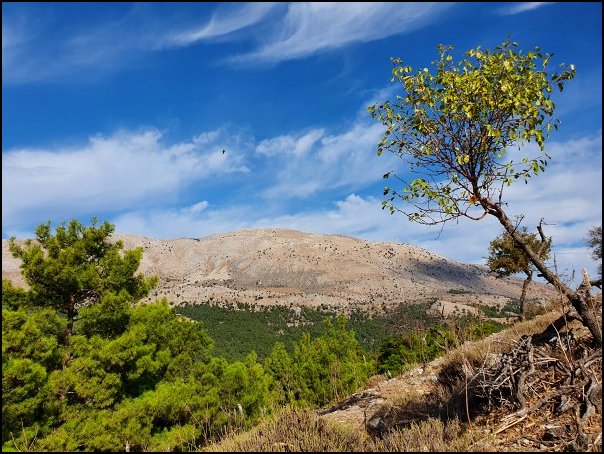 Rhodos21270.jpg