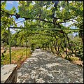 Rhodos21294.jpg