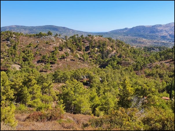 Rhodos21384.jpg