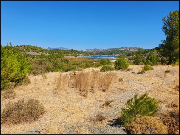 Rhodos21396.jpg