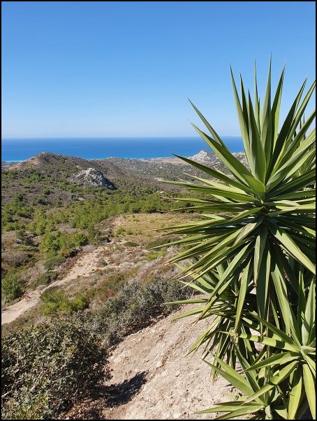 Rhodos21453.jpg