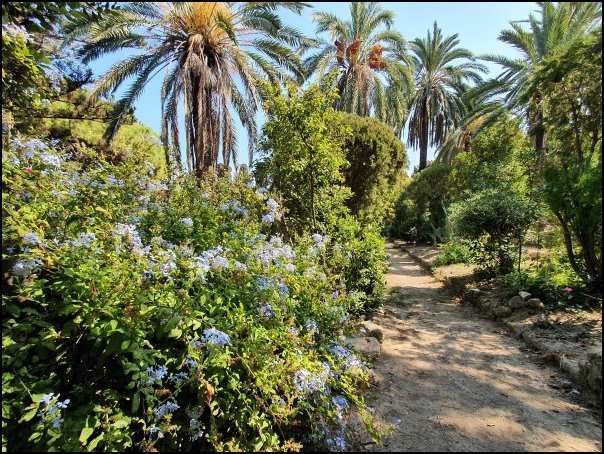 Rhodos21045.jpg