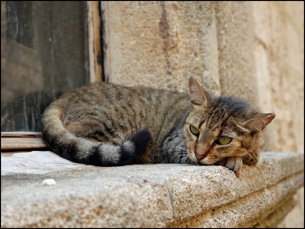Rhodos21073.jpg