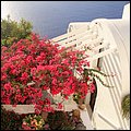 Santorini16045.jpg