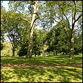London15013.jpg