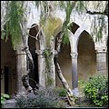 Amalfi16043.jpg