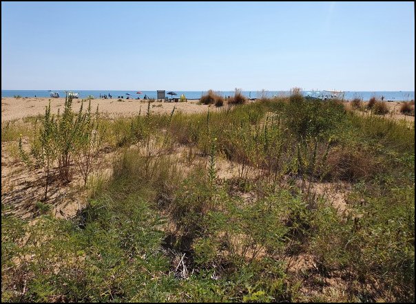Bibione2021016.jpg