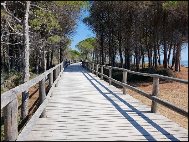 Bibione2021019.jpg