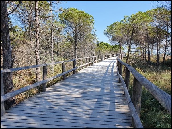 Bibione2021021.jpg