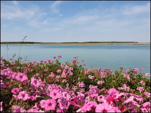Bibione2021061.jpg