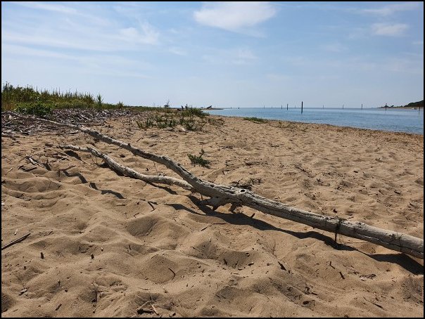 Bibione2021064.jpg