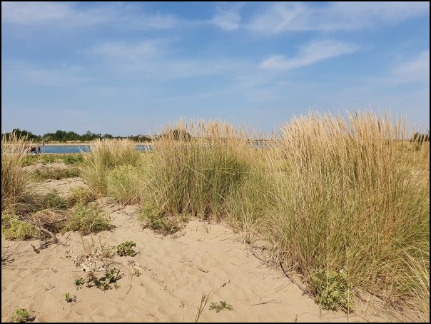 Bibione2021068.jpg